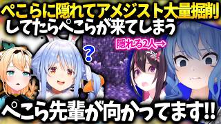 すいちゃんあずきち鉱脈に近づくぺこらにバレないよういろはに偽装してもらう大作戦【星街すいせい/風真いろは/AZKI/ホロライブ】