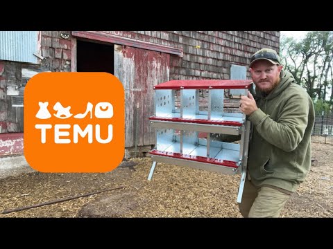 Temu’s Cheapest Chicken Nesting Box!