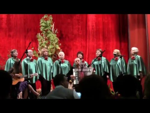 Sidabrinė gija - Piemenaitė