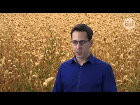 Filip Kowalczyk - Dieta a grupa krwi