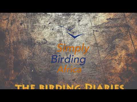 Birding Diaries Season 2 Intro