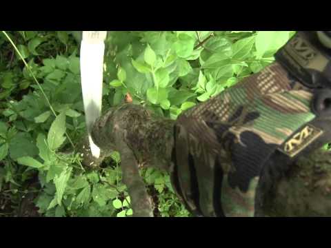 Wicked Tree Gear - Todd Pringnitz - hand saw - Bow Hunting - Deer -  Deer hunting