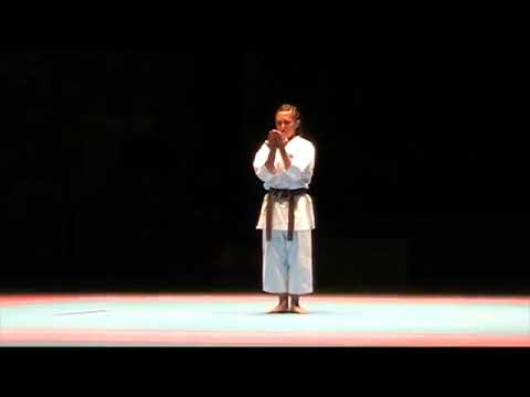 Heiku shito ryu kata