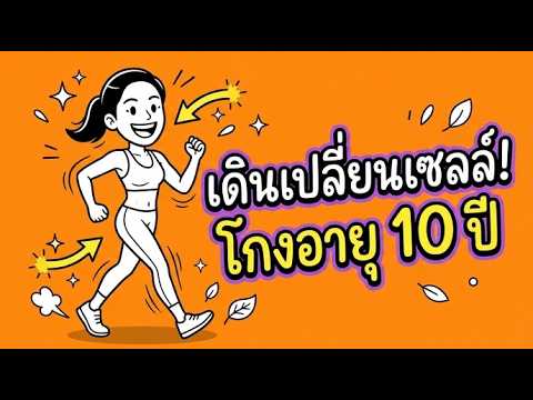 คลิกเพื่อดูคลิปวิดีโอ