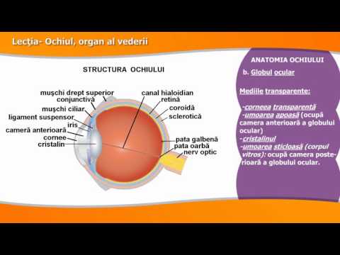 hipermetropie antrenament ocular