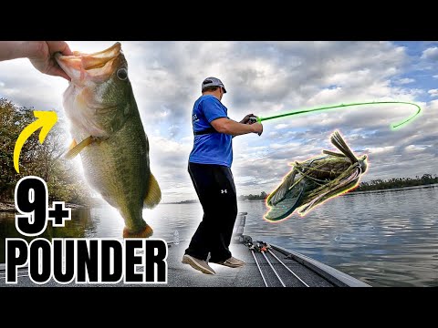 This Old School Lure Catches BIGGUNS (Big Fish Secret Unlocked)