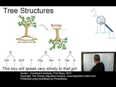 Constituent Analysis ☆ Linguistics Lecture