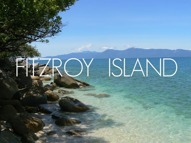 Fitzroy Island | Snorkeling In The Great Barrier Reef