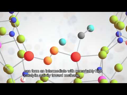 応用生物学課程 Research at Kyoto Institute of Technology Vol. 9 -- Prof. YUMURA Takashi