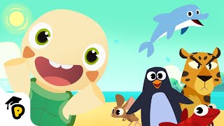 Animals from around the world | Dr. Panda TotoTime | Kids Learning Video