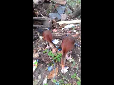 Estos piches muy bravos con luz marina m.