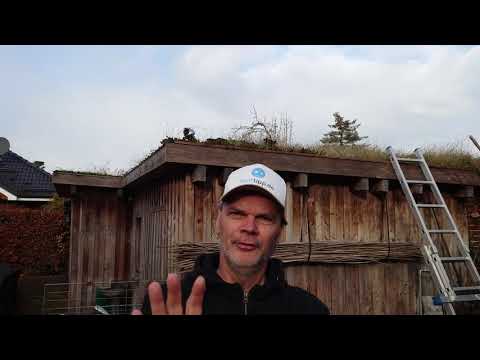 Sony Xperia 5 II | Testvideo in 4K mit 30 bps