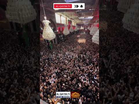 21.480.525 Million Azadar Attend Arbaeen Imam Hussain in Karbala 1446 / 2024 | Haraam Mola Abbas A.S