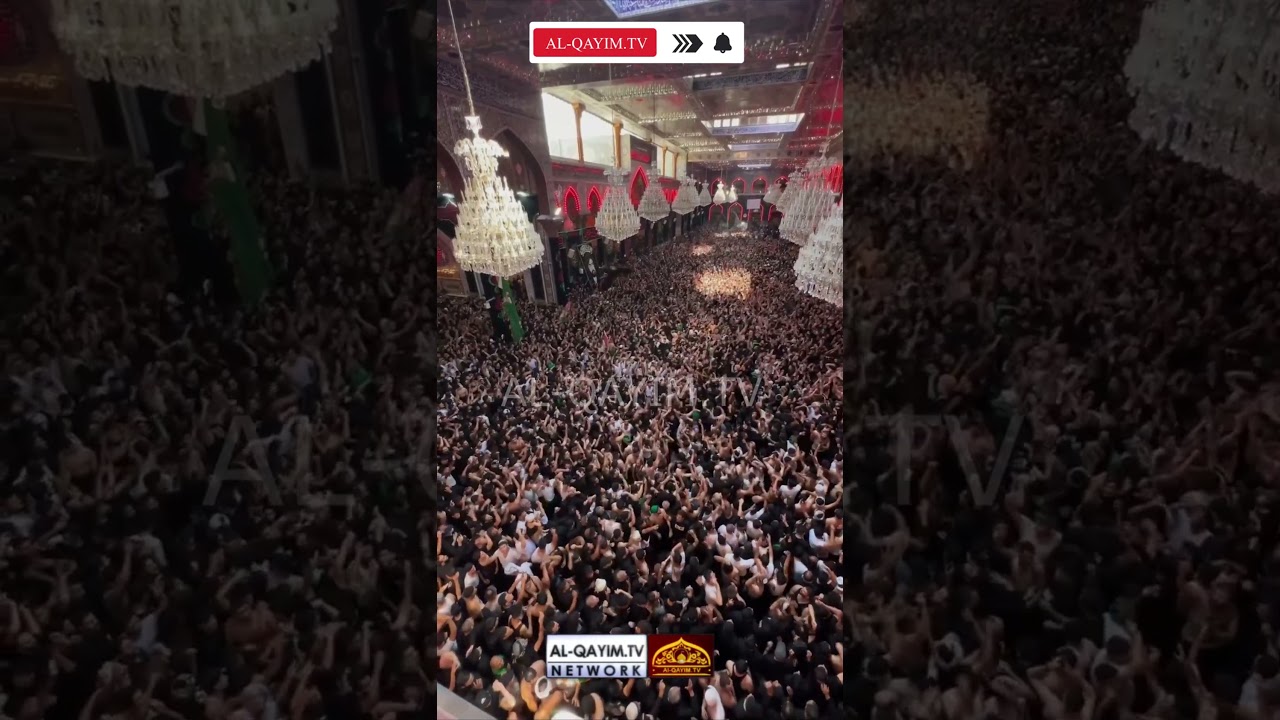 21.480.525 Million Azadar Attend Arbaeen Imam Hussain in Karbala 1446 / 2024 | Haraam Mola Abbas A.S