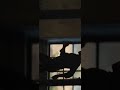 HAPPY BIRTHDAY JR FULLSCREEN JAYAM RAVI WHATSAPP STATUS