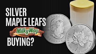 Why I Buy Canadian Silver Maple Leaf Coins