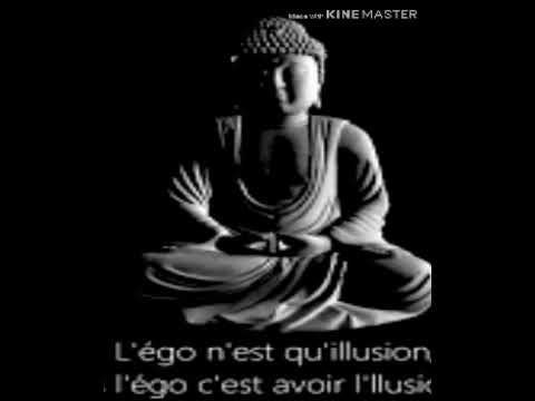 Pirat 03 -_- (Le Passé). FREestyLLe