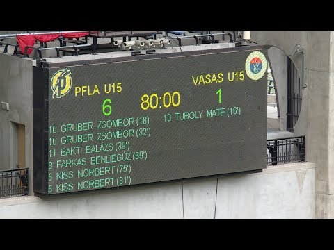 PFLA 2004 - VASAS 6-1