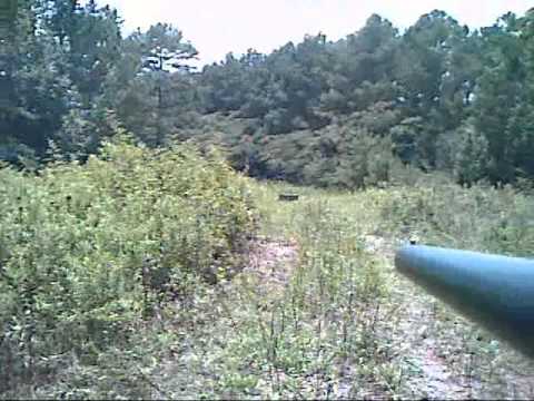 ammo test 1 20Ga buckshot test