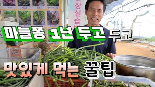 마늘쫑 1년 두고두고 맛나게 먹는법 ? 마늘쫑 요리
