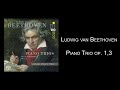 Ludwig van Beethoven: Piano Trio op. 1,3 ∙ Finale. Prestissimo