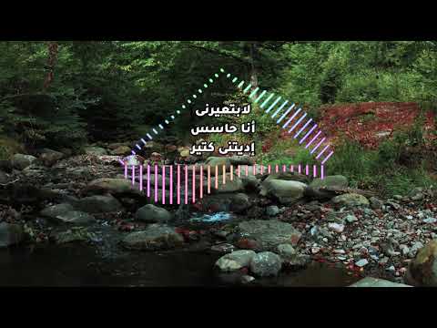 48 wasalt nafsy - وصلت نفسي لحالي