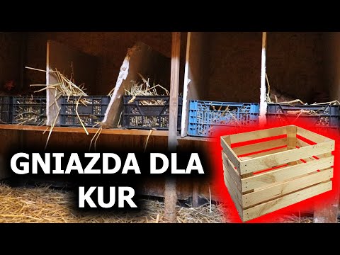 , title : 'Jak... Zrobić gniazda dla kur - PORADNIK'