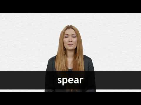 spear  Tradução de spear no Dicionário Infopédia de Inglês - Português