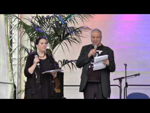 16  Django Reinhardt Festival   Hildesheim 1  & 2  Juli 2016