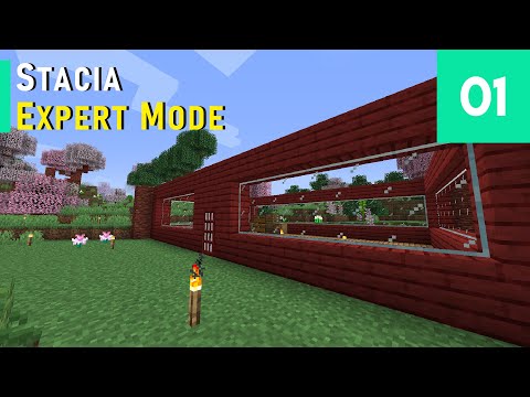 Stacia Expert Mode #1 - An Unexpected End and a Surprise Beginning