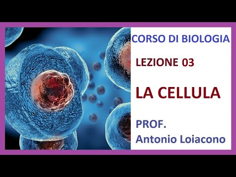 CORSO DI BIOLOGIA - Lezione 03 - La Cellula