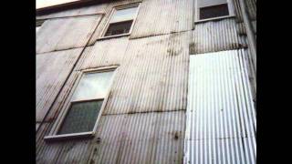 Antarctica - Hallucinus