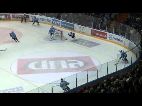 Pelicans   HPK 29 12 2011