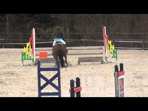 CE cyclamens / Noémie Vérokio P1 01.03.15