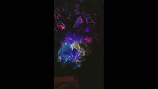 Tree of Life Awakening at Animal Kingdom Walt Disney World Orlando FL January 2018