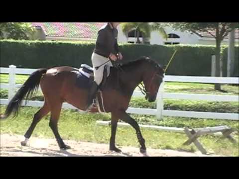 Distinct Advantage.wmv