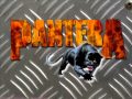 Pantera Fucking Hostile