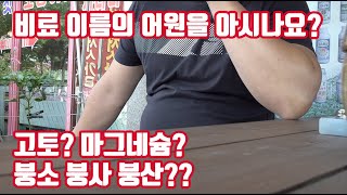 비료의 어원에 대하여 고토? 마그네슘? 인산? 칼리? 왜 이리 이름들이 많을까요?? 알면 …