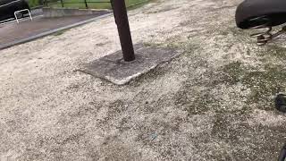 とある公園で雑談ライブ配信