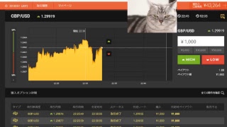 【FX】1万円から始める為替取引【BO】60