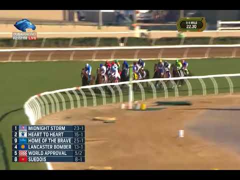 Breeders' Cup Mile Stakes G1 - 04\11\2017 - World Approval