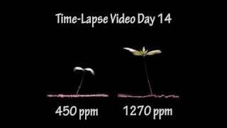 Seeing is Believing.........