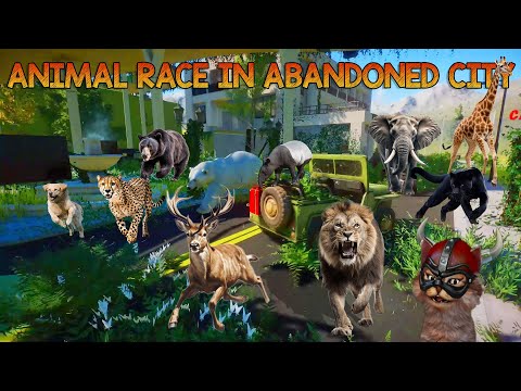 Carnivores VS Herbivores Animal Race in Abandoned City included Elephant, Giraffe, Lion & Polar Bear