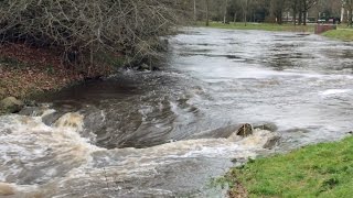 preview picture of video 'extreem hoge waterstand in Oisterwijk'