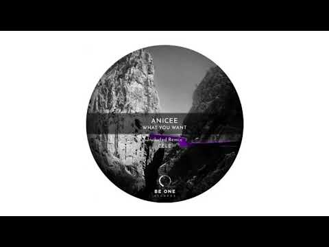 Anicée - What You Want [Be One Records]