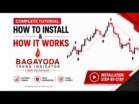 Video Bagayoda System