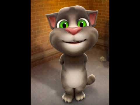 😄Chat Deni Maar 😺Deni khinch ke😻 Tamacha