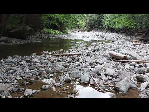 Rezervatia Naturala Cheile Tisitei Lepsa Vrancea Romania 4