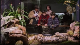 КиноМоменты - Гарри Поттер и Филосовский камень | Просыпайся, кузен, мы идем в зоопарк.