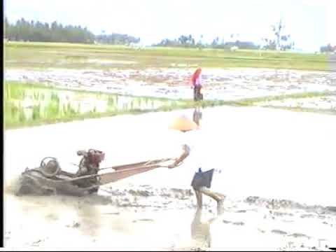 Ucok Sumbara - Dipaso Makan Umpan